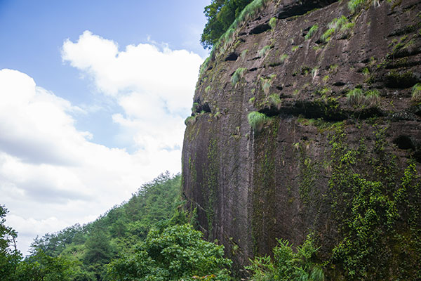香江茶园-钟鼓岩